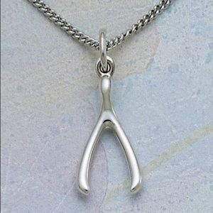 ISO James Avery wishbone charm!